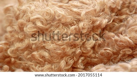 karakul artificial ram skin. beige color. incredibly high-quality artificial eco-fur under a young astrakhan (mutton) haute couture fabrics, Coat fabrics, texture, background, pattern Royalty-Free Stock Photo #2017055114