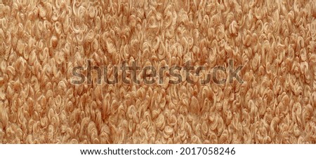 karakul artificial ram skin. beige color. incredibly high-quality artificial eco-fur under a young astrakhan (mutton) haute couture fabrics, Coat fabrics, texture, background, pattern Royalty-Free Stock Photo #2017058246
