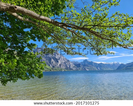 Beautiful pictures taken on a lake in Austria.