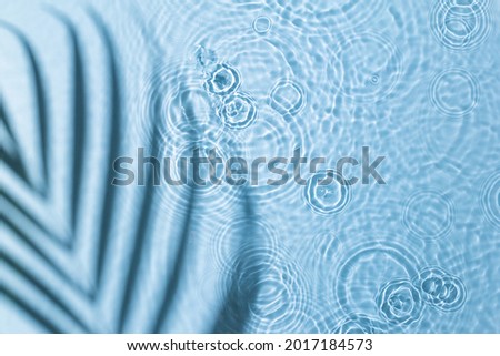 Water background. Blue aqua texture, surface of ripples, transparent palm leaf shadows and sunlight. Spa concept background. Flat lay, top view, copy space, banner