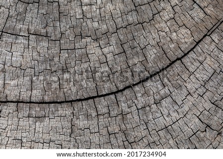 cracks in the cross-section of the timber