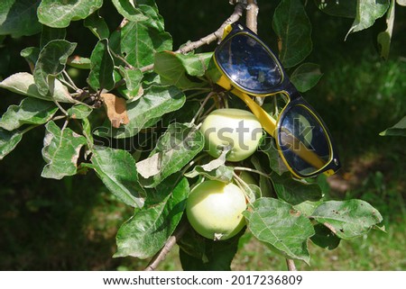 Black sunglasses with yellow frame and apples