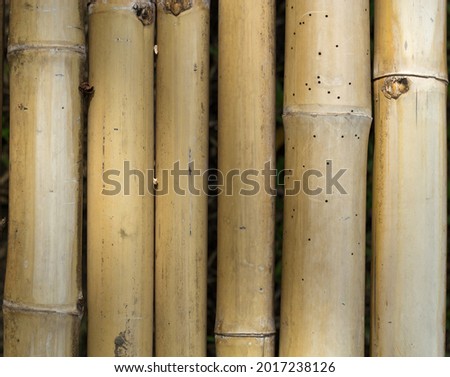 Bamboo product. Bamboo texture background.