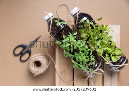 Set of young tomato seedlings in recycled plastic bottles.environmental awareness is important to save our planet Royalty-Free Stock Photo #2017239602