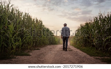 Farmer checking the quality of his corn field at the sunset with copy space Royalty-Free Stock Photo #2017271906