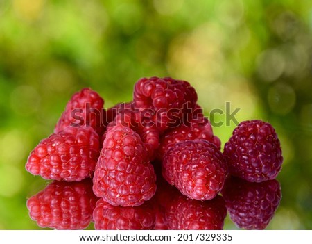 Pile of fresh raspberries on a bright green background stock images. Heap of juicy raspberry berries close-up stock photo