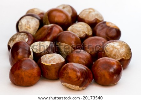 a few brown chestnuts are on a white background