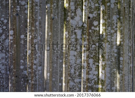 Corrugated metal plates surrounding wasteland                              