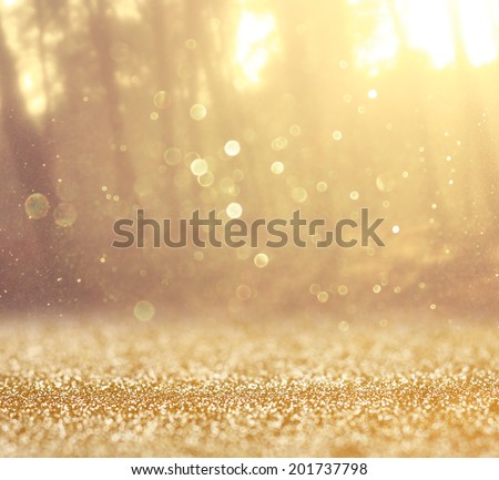 abstract photo of light burst among trees and glitter bokeh lights. image is blurred and filtered . Royalty-Free Stock Photo #201737798