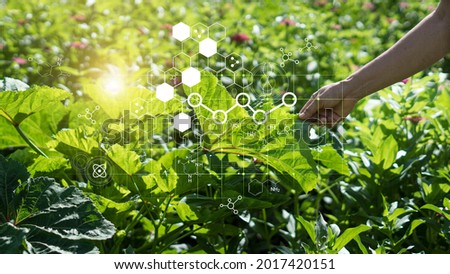 Hand touching plants green with biochemistry structure on background. Science of plant research, Chromosome DNA and genetic in nursery outdoor.
