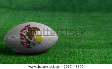 American football ball  with Illinois flag on green grass background, close up