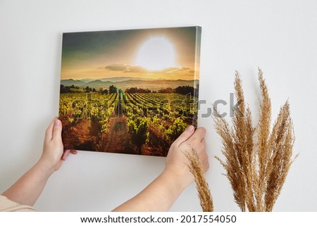 Canvas print with gallery wrap and dry grass interior decor. Woman hangs landscape photography on white wall. Hands holding photo canvas print with image of vineyard