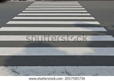 Zebra Cross a pedestrian crossing. white paint on asphalt.