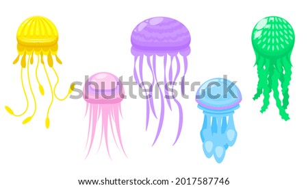 Set Abstract Collection Flat Cartoon 
Different Color Animal Jellyfish Medusa Marine Water Vector Design Style Elements Fauna Wildlife Isolated