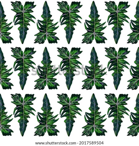 Monstera Digital Clip Art Paper  Seamless Patterns, monstera deliciosa, palm leaves, floral, flowers, leaves