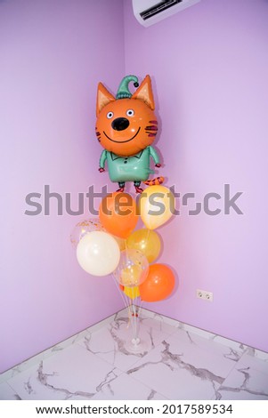 colored balloons in the form of a cat