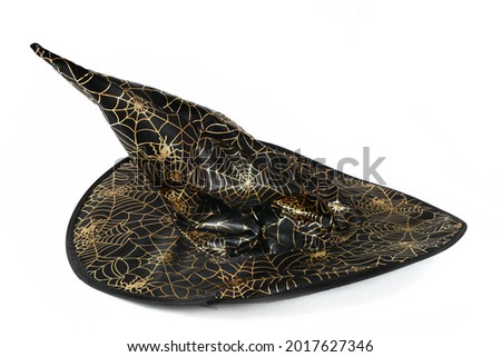 Halloween Witch Black Hat isolated on white background. Closeup