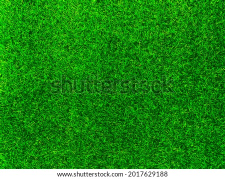 Green grass texture background grass garden  concept used for making green background football pitch, Grass Golf,  green lawn pattern textured background.
