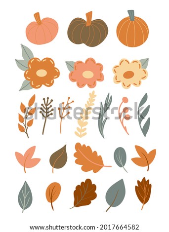 Set of hand drawn autumn elements in simple Scandinavian style. Pumpkin, fall flowers, herbs, branches, leaves. Cute design elements. Seasonal clip art for Thanksgiving, Halloween. Wreath creator