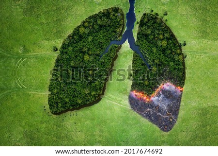 Aerial top view forest tree of ecological disaster of fires. Lungs from forest trees and fire concept. Ecology and environment creative idea. Breath of planet earth Royalty-Free Stock Photo #2017674692