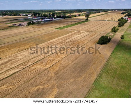 Fields, grasslands, forests and countryside seen from above - photo drone fields of cereals ready for harvest 