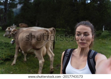 Hiking in the swiss alps and taking a self portrait with a cow