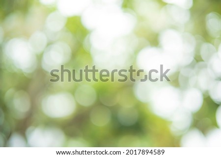 Green and white bokeh nature background. Abstract of green leafs blurred with camera effect of light through the space of leaf.