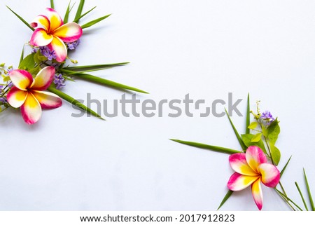 little purple flowers, jasmine, frangipani with bamboo leaf arrangement flat lay postcard style on background white 