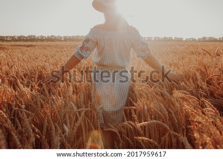 Amazing view with woman his back to viewer in a field of wheat touched by hand of spikes in the sunset light. Golden wheat fields. Wheat ears in hands. Harvest concept. Image of spikelets in hands.