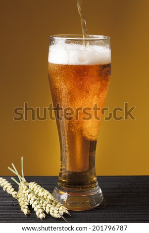 glass of beer on a yellow background