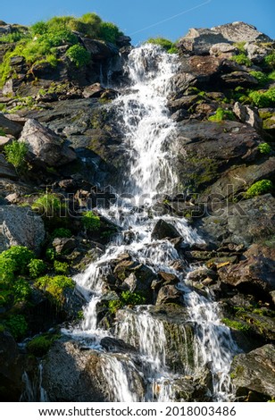 Mountain waterfall flowing surrounded by rocks and blooming flowers
