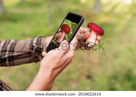 technology, picking season and people concept - male hands with smartphone using mobile app to identify mushroom
