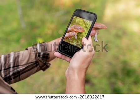 technology, picking season and people concept - male hands with smartphone using mobile app to identify mushroom