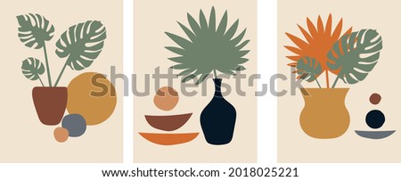 Collection of modern artistic simple minimalist abstractions (still lifes) with decorative vases and flower pots with tropical plants (monstera and palm) with geometric shapes on beige background