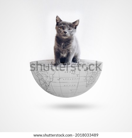 Cat Day, International Cat Day, world Cat Day, 8 august,,cat is on half Earth, 3D rendering, Black Cat Appreciation Day Royalty-Free Stock Photo #2018033489