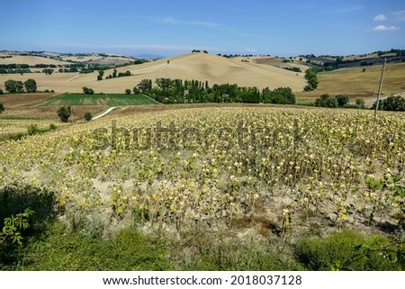 landscape in tuscany, beautiful photo digital picture