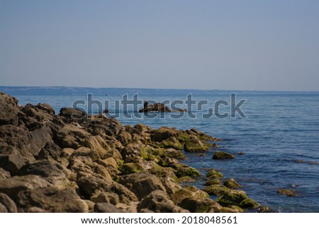 summer seascape on the black sea in bulgaria