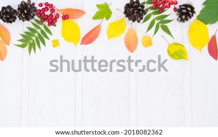 Bright autumn background: colorful leaves, red berries, cones on a white wooden background