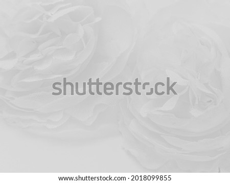 Beautiful abstract color white flowers on white background, black leaves texture, gray background, colorful graphics banner, white leaves, leaves texture