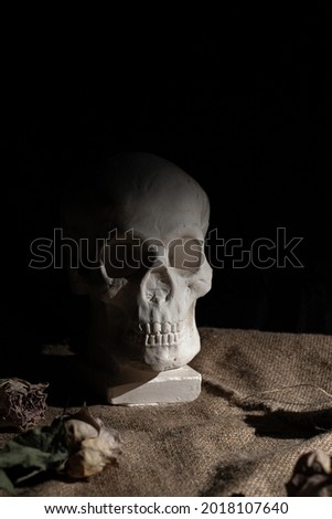 Photo still life with a skull and flowers
