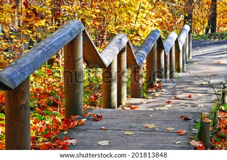 Wooden stairs at autumn time in Sigulda, Latvia