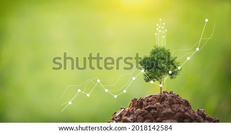 Doing CSR by planting trees, CSR concept and business planting saplings of trees Royalty-Free Stock Photo #2018142584