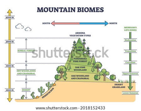 DESERTSCRUB Stock Vector Images - Avopix.com