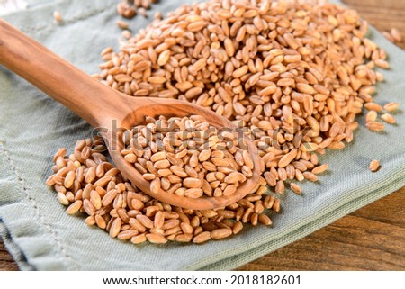 Wholegrain uncooked raw spelt farro in linen napkin with wooden spoon on a wooden background, close up Royalty-Free Stock Photo #2018182601