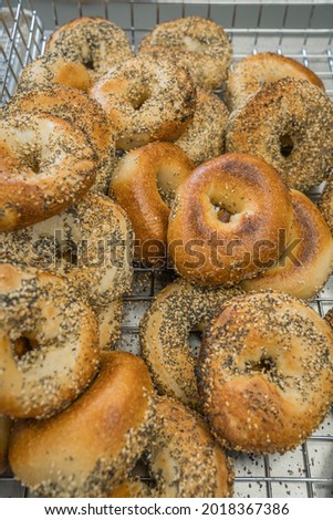 Close-up of freshly baked bagels with seeds on top.