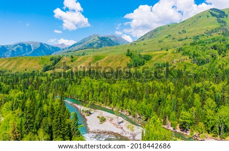 Mountain and forest with river natural scenery in Hemu Village,Xinjiang,China.