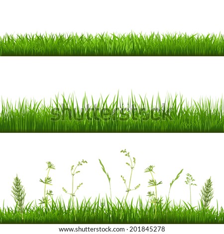 Grass Borders, With Gradient Mesh, Vector Illustration Royalty-Free Stock Photo #201845278