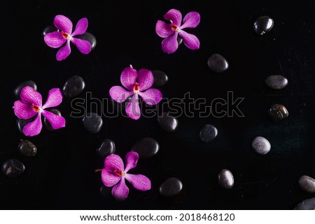 Spa stones and beautiful five red orchid on black background