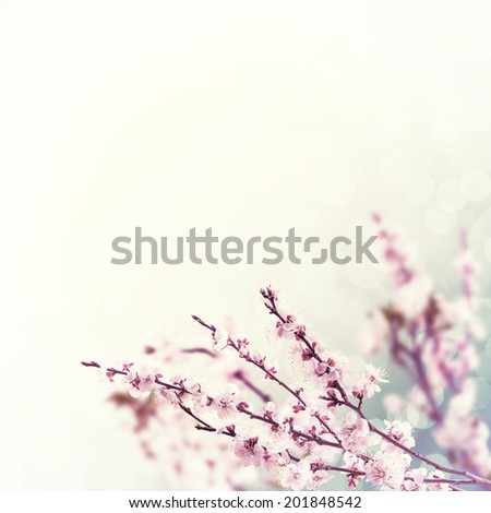 Branch with flower, vintage floral background