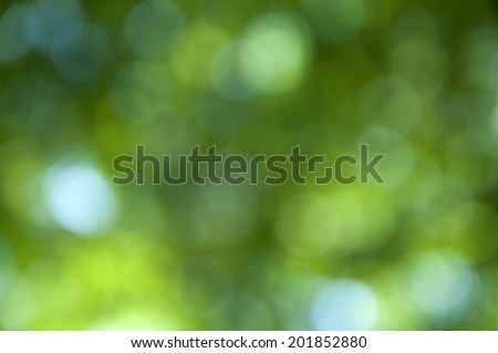 Natural green blurred background, Defocused green abstract background.